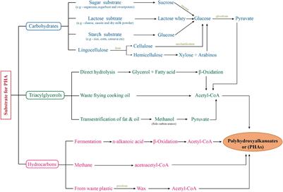 Challenges and Perspectives of Polyhydroxyalkanoate Production From Microalgae/Cyanobacteria and Bacteria as Microbial Factories: An Assessment of Hybrid Biological System